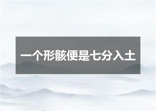 一个形骸便是七分入土