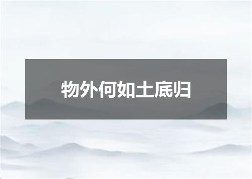物外何如土底归