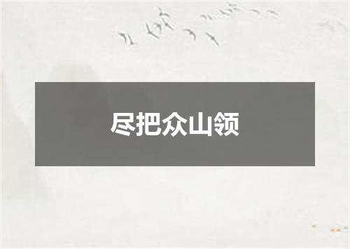 尽把众山领
