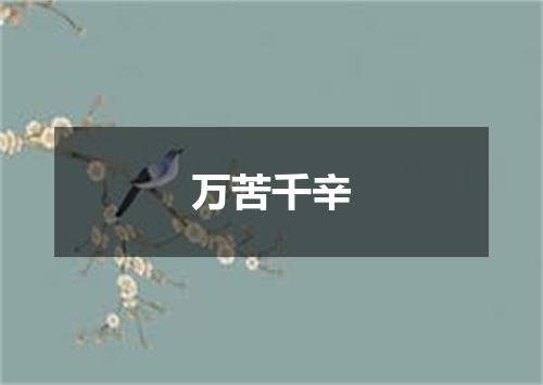 万苦千辛