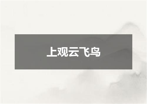 上观云飞鸟