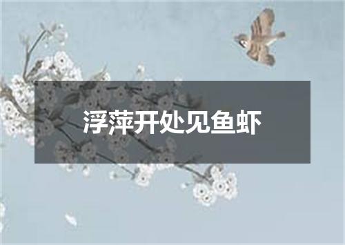 浮萍开处见鱼虾