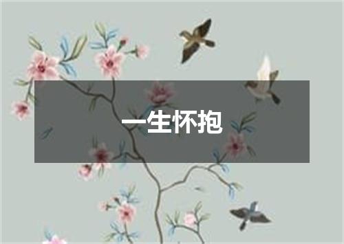一生怀抱