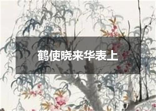 鹤使晓来华表上