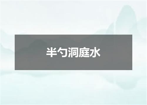半勺洞庭水