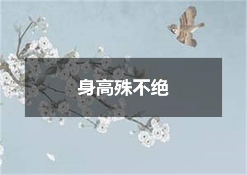 身高殊不绝