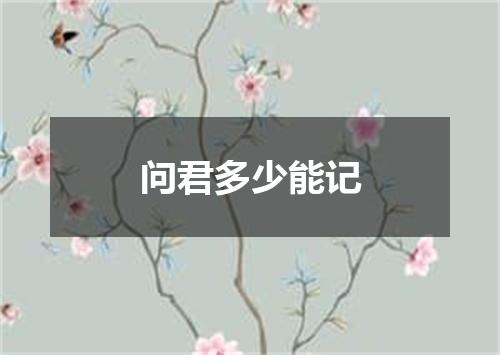 问君多少能记