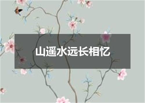山遥水远长相忆