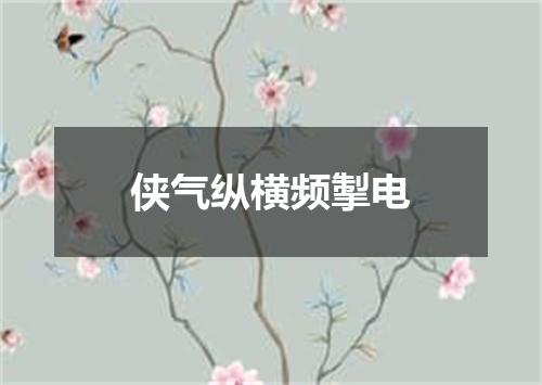 侠气纵横频掣电