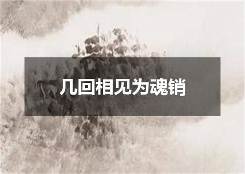 几回相见为魂销