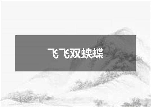 飞飞双蛱蝶