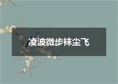 凌波微步袜尘飞