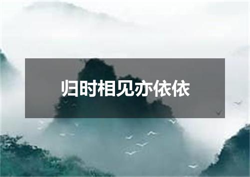 归时相见亦依依