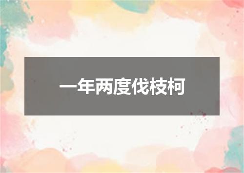 一年两度伐枝柯