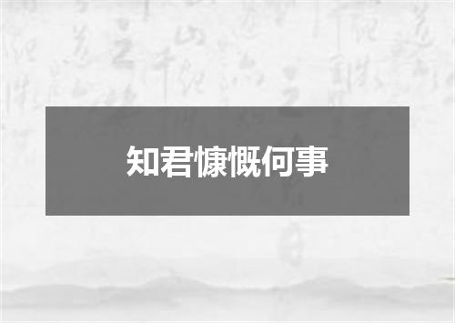 知君慷慨何事