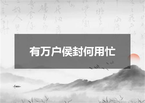 有万户侯封何用忙