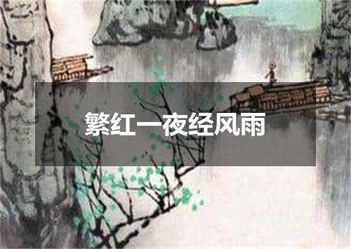 繁红一夜经风雨