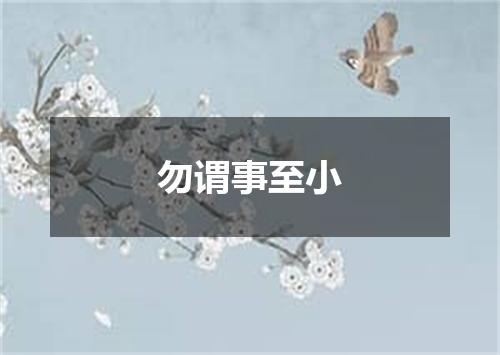 勿谓事至小