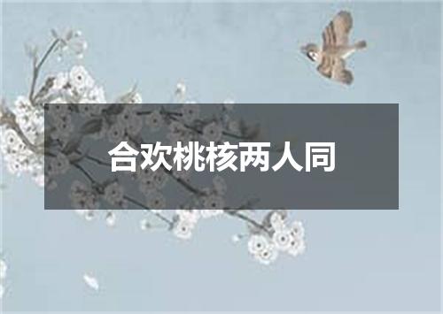 合欢桃核两人同