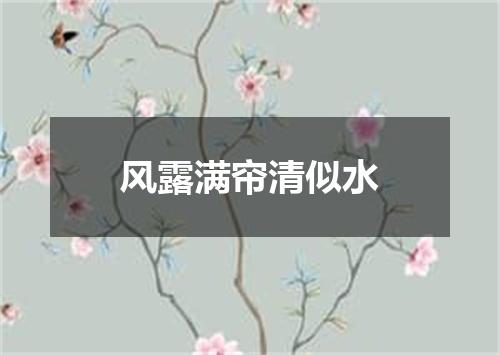 风露满帘清似水
