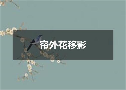 帘外花移影