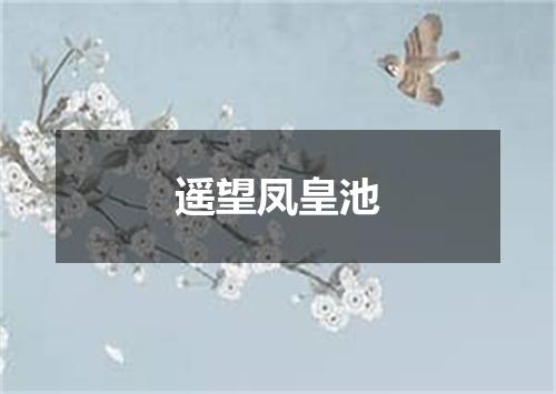 遥望凤皇池