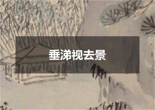 垂涕视去景