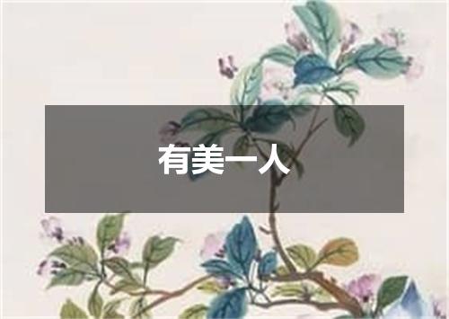 有美一人