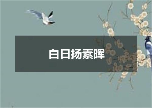 白日扬素晖