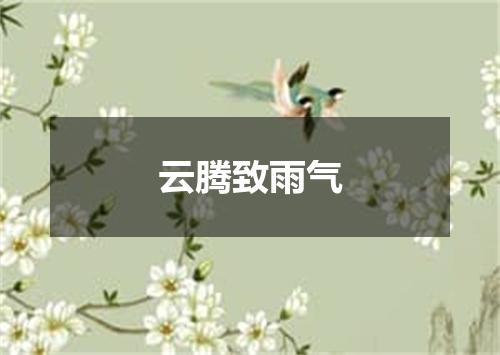 云腾致雨气