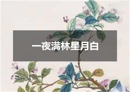 一夜满林星月白