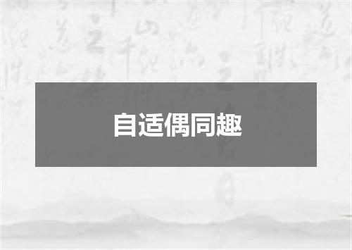 自适偶同趣
