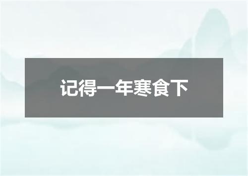 记得一年寒食下