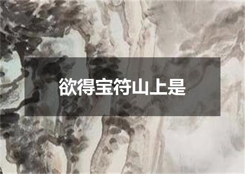 欲得宝符山上是