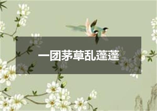一团茅草乱蓬蓬