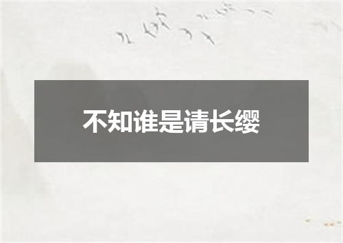 不知谁是请长缨