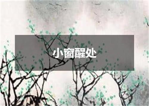 小窗醒处