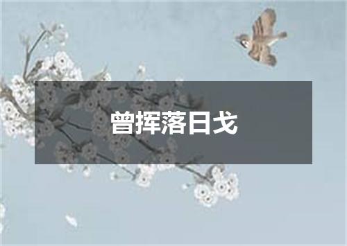 曾挥落日戈