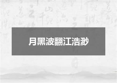 月黑波翻江浩渺