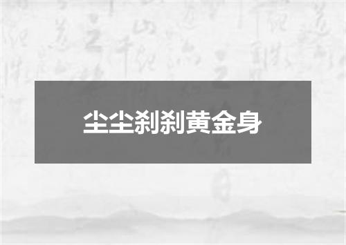 尘尘刹刹黄金身
