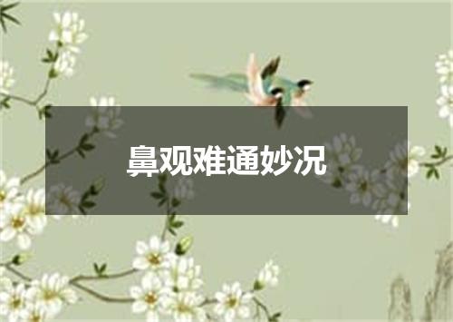 鼻观难通妙况