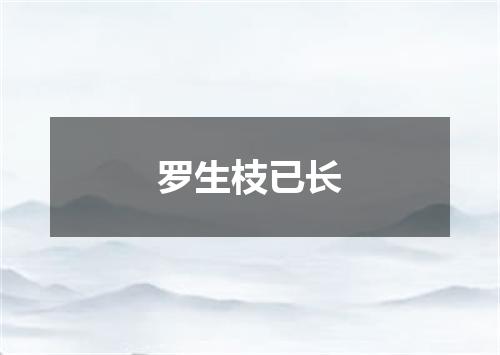 罗生枝已长
