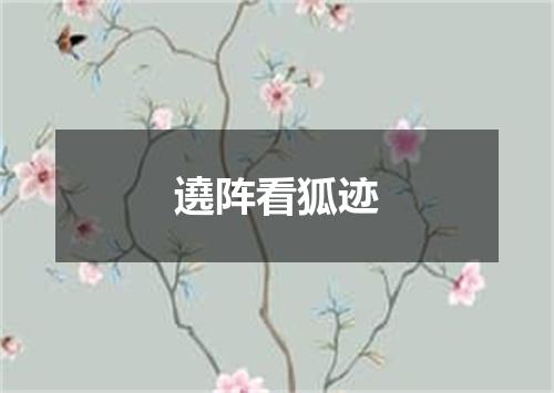 遶阵看狐迹