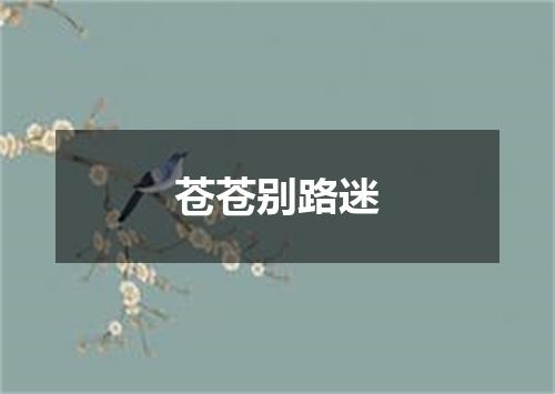 苍苍别路迷