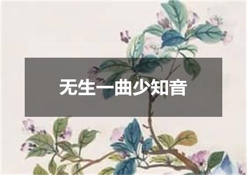 无生一曲少知音
