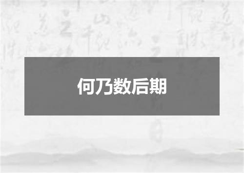 何乃数后期