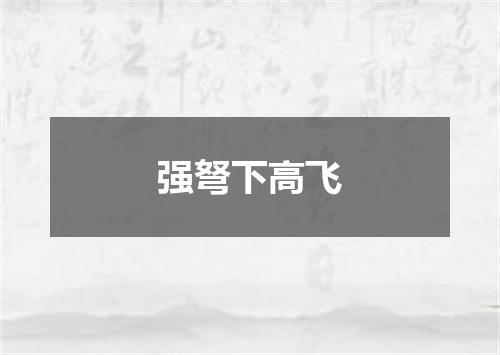 强弩下高飞