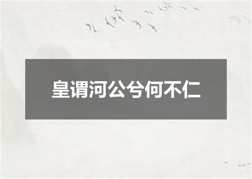 皇谓河公兮何不仁