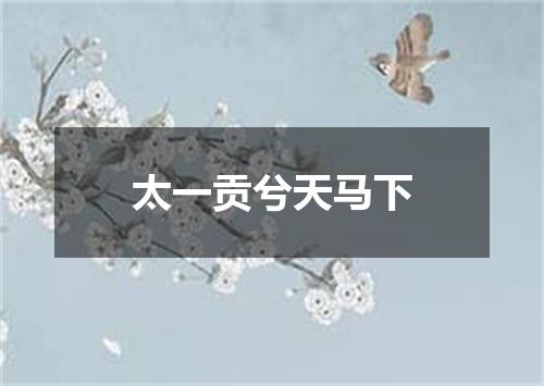 太一贡兮天马下