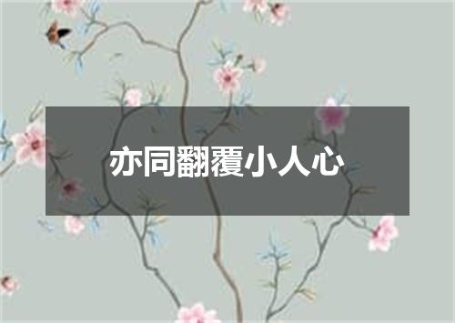 亦同翻覆小人心